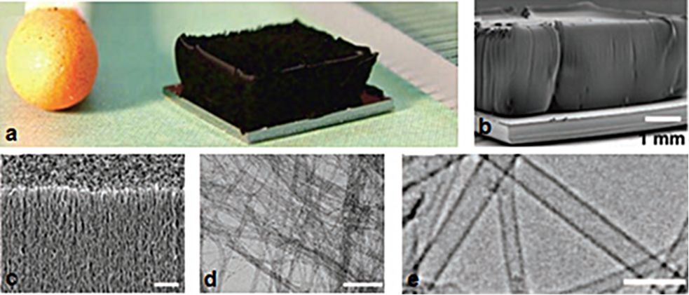 Vertically Aligned Carbon Nanotubes