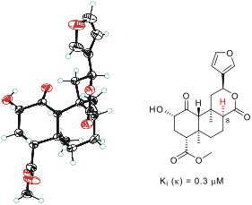 8-epi-Salvinorin B: Crystal Structure And Affinity At The κ Opioid Receptor