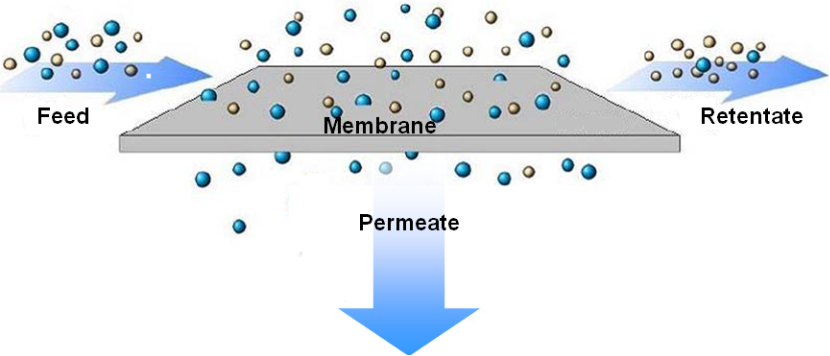 side of the membrane and the different feed components permeate