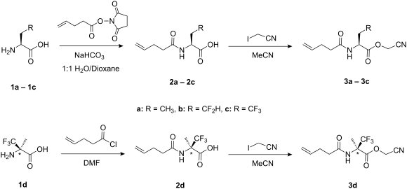 Reactions Of Alkenes. alkenes reactions