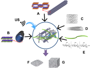 BJNANO - Multicomponent Bionanocomposites Based On Clay ...