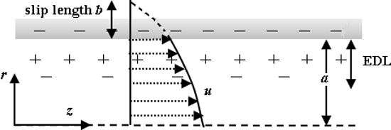 Simplified schematic of the no-slip and slip conditions. ν lw is