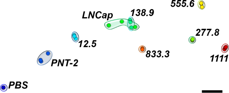 [2190-4286-10-210-5]