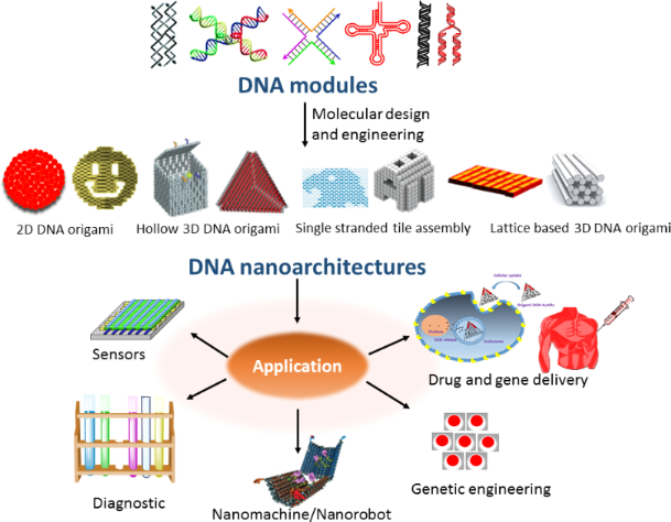 BJNANO - Molecular Architectonics Of DNA For Functional Nanoarchitectures