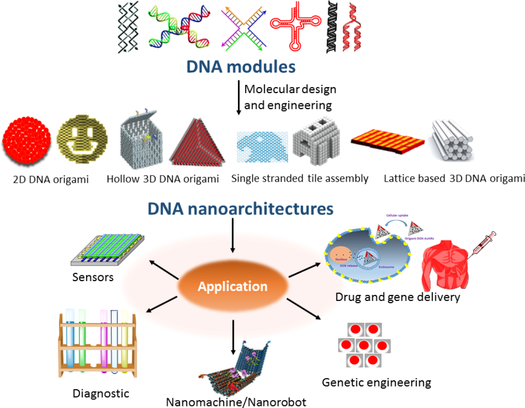 Bjnano Molecular Architectonics Of Dna For Functional Nanoarchitectures 