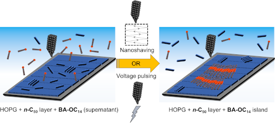 BJNANO - Molecular Assemblies On Surfaces – Towards Physical And ...