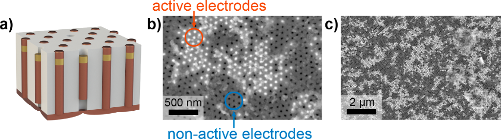 BJNANO - Uniform arrays of gold nanoelectrodes with tuneable recess depth