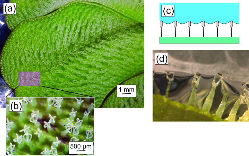 [2190-4286-13-111-2]