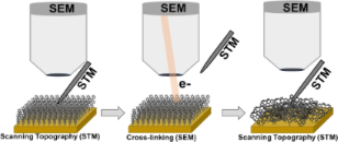 BJNANO - Investigation Of Electron-induced Cross-linking Of Self ...