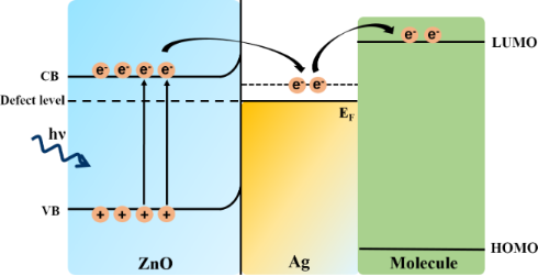 BJNANO - Zinc Oxide Nanostructures For Fluorescence And Raman Signal ...