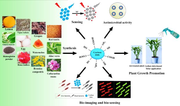 BJNANO - Recent Advances In Green Carbon Dots (2015–2022): Synthesis ...