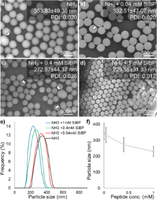 BJNANO - Biocatalytic Synthesis And Ordered Self-assembly Of Silica ...