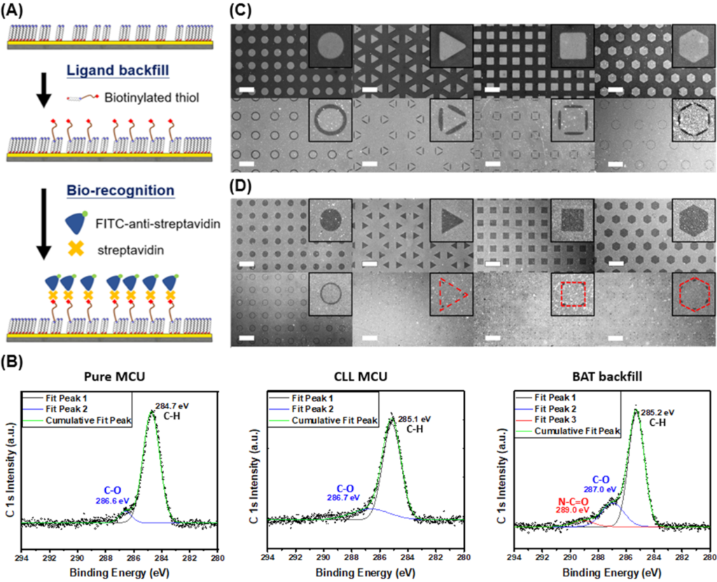 BJNANO - Gap-directed chemical lift-off lithographic nanoarchitectonics ...