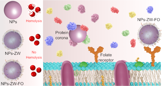 Graphical Abstract