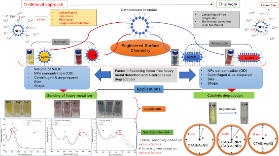 Graphical Abstract