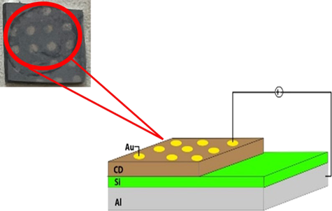 Graphical Abstract