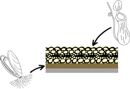 Graphical Abstract