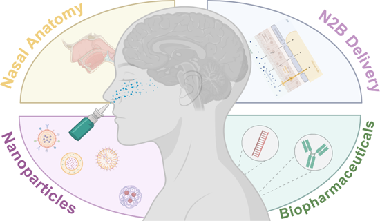 Graphical Abstract