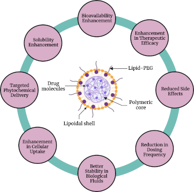 Graphical Abstract