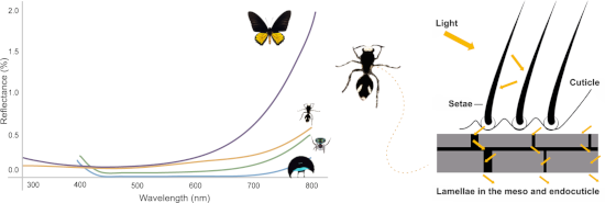 Graphical Abstract