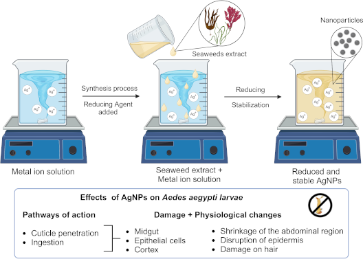 Graphical Abstract