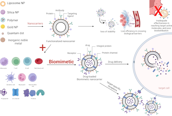 Graphical Abstract