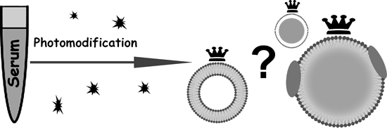 Graphical Abstract