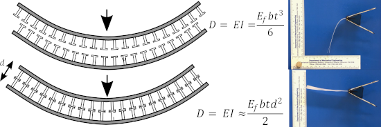 Graphical Abstract