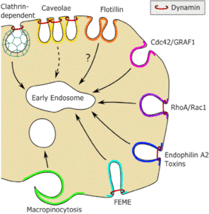 Graphical Abstract