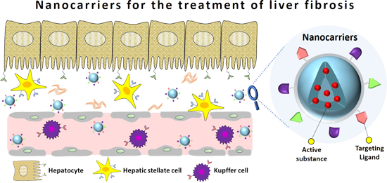 Graphical Abstract