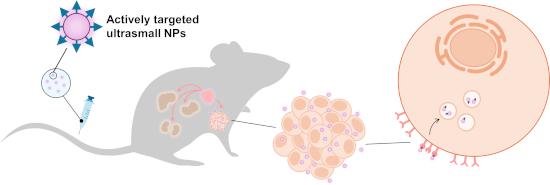 Graphical Abstract