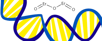 Graphical Abstract