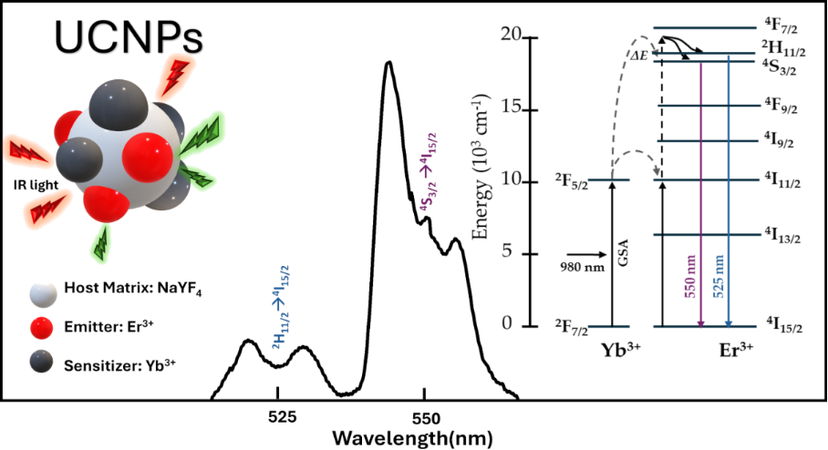 [2190-4286-16-159-1]