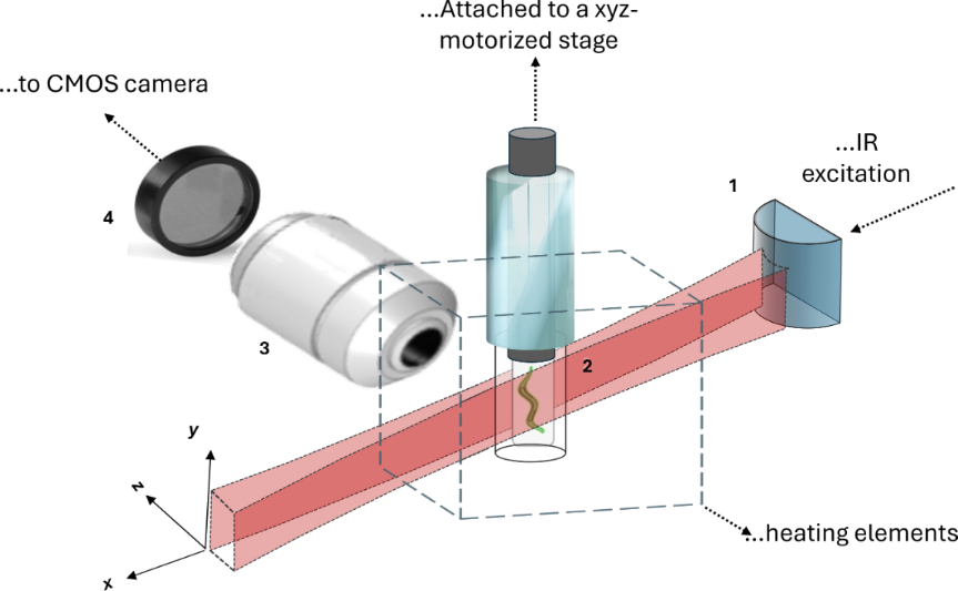 [2190-4286-16-159-3]