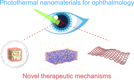 Graphical Abstract