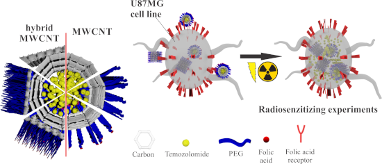 Graphical Abstract