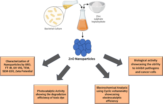 Graphical Abstract