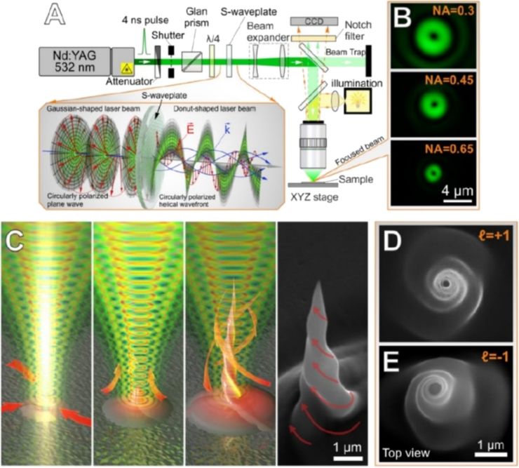 [2190-4286-17-22-10]