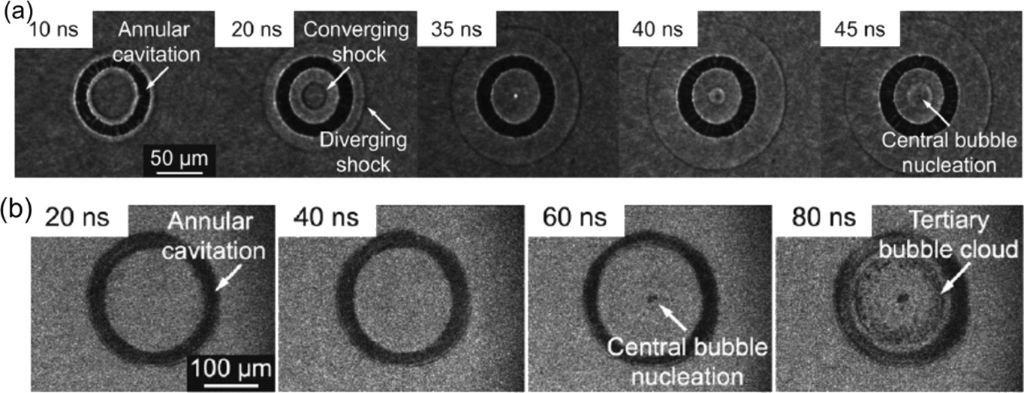 [2190-4286-17-22-12]