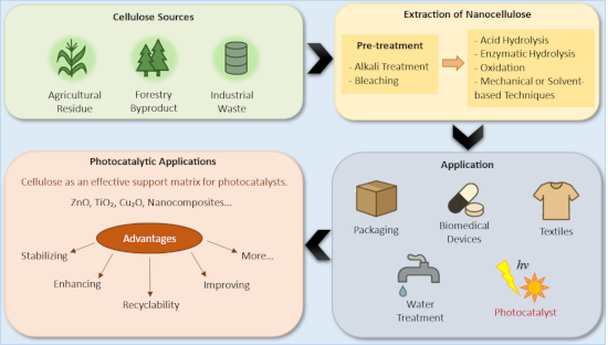 Graphical Abstract