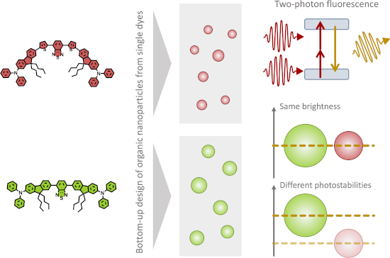 Graphical Abstract