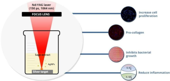 Graphical Abstract