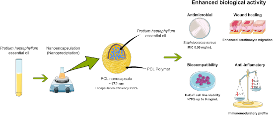 Graphical Abstract