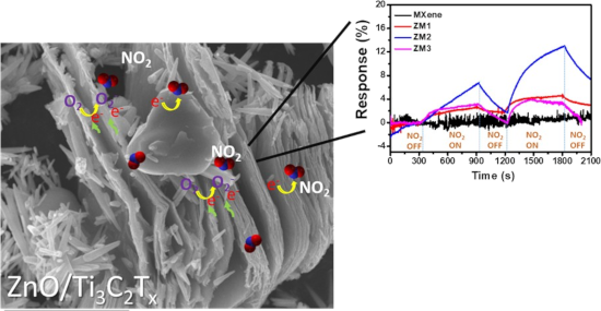 Graphical Abstract