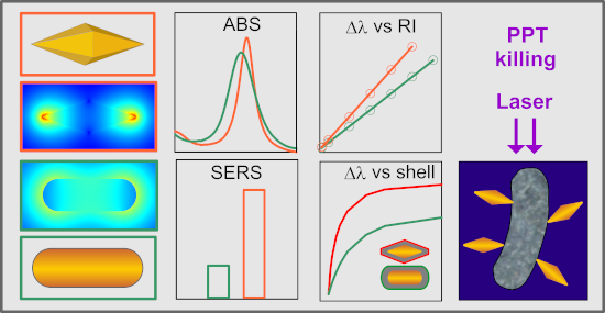 Graphical Abstract