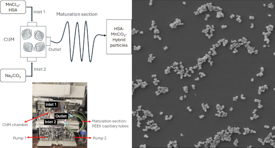 Graphical Abstract