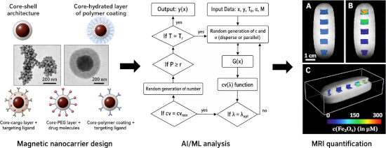 Graphical Abstract
