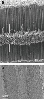 BJNANO - Functionalization Of Vertically Aligned Carbon Nanotubes