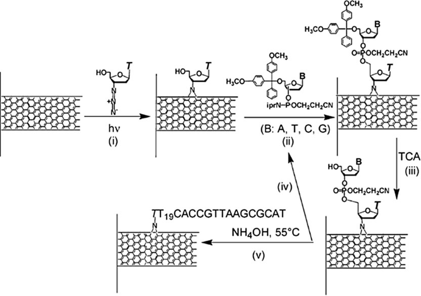 BJNANO - Functionalization of vertically aligned carbon nanotubes