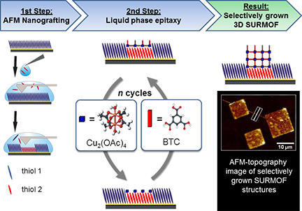 BJNANO - Advanced Atomic Force Microscopy Techniques II